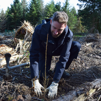 27 nouveaux arbres plantés pour nos nouveaux membres !