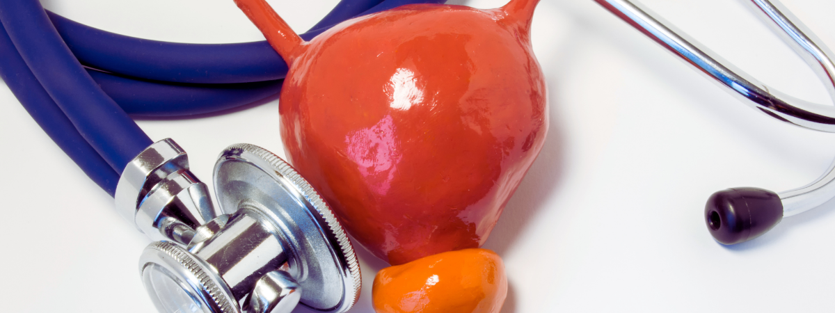 Prostatite bactérienne chronique : appel à participation