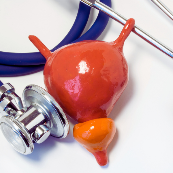 Prostatite bactérienne chronique : appel à participation